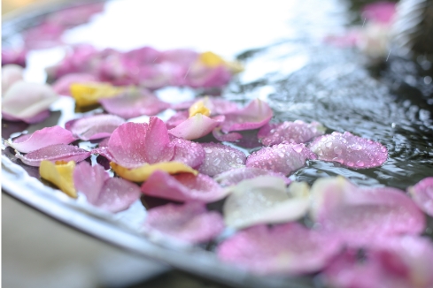 広島の結婚式場　噴水に浮かぶ花びら